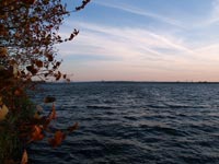 Cooling pond of ChNPP