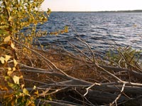 Cooling pond of ChNPP