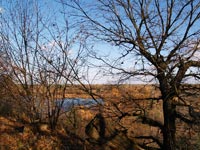 Autumn in Chornobyl