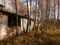 Autumn in Chornobyl