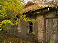 Autumn in Chornobyl