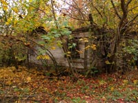 Autumn in Chornobyl