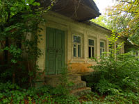 Літо у Чорнобилі