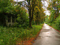 Літо у Чорнобильський Зоні