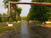 Літо у Чорнобилі