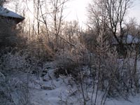 Зимовий ранок у Чорнобилі