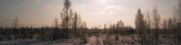 Зимовий ранок у Зоні