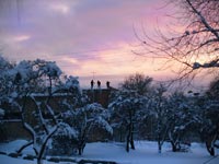 18.12.2012. Чорнобиль. Повернення
