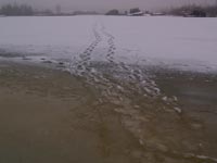Зимовий ранок на ЧРЕБі
