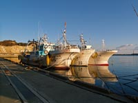 Хісанохама, Івакі (いわき市). Префектура Фукушіма