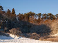 Іітате (飯舘村). Префектура Фукушіма