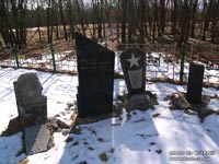 Чорнобильська Сосна