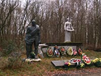 Поліське