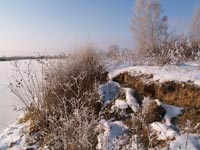 Зимовий ранок на річці Уж