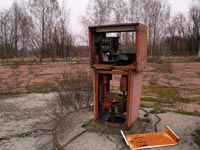 Поліське
