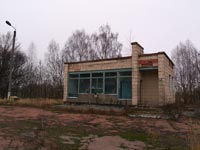 Поліське
