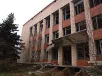 Поліське
