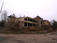 Поліське