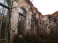 Поліське
