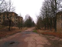 Поліське