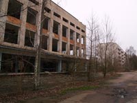 Поліське