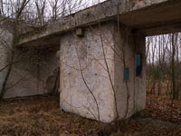 Поліське