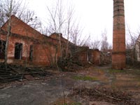 Поліське