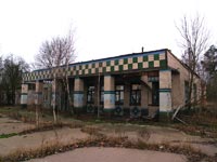 Поліське