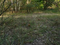 Припять