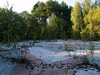 Прип'ять