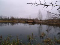 На березі Припяті