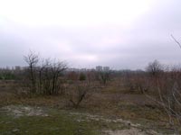 На березі Припяті