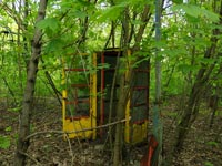 Весна у Прип'яті