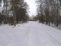 Любеч-1