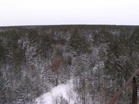 Любеч-1
