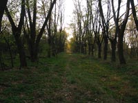 Позиція РЛС у передмісті Чорнобиля