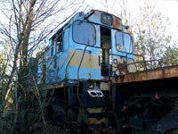 Тепловоз ТГМ5
