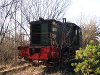 Тепловоз ТГМ1