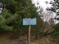 Буряківка