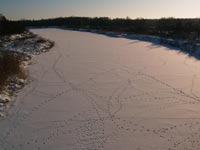 Winter in village Cherevach on river Uzh