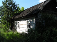 Довгий Ліс