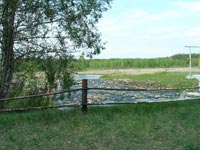 річка Ілля