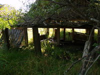 Липськи Романи
