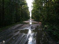 Chornobyl's villages