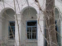 Новошепеличі