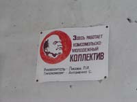 Новошепеличі