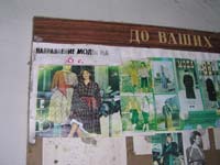 Новошепеличі