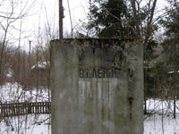 Новошепеличі