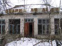 Новошепеличі