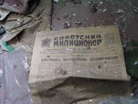 Новошепеличі